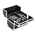 Professional Makeup Train Case Travel Beauty Cosmetic Trolley Box w/ 4 Adjustable Trays & Security Lock Makeup Cosmetic Organizer 12 Inch Large Black