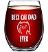 Best Cat Dad Ever Funny Wine Glass 15oz - Unique Christmas Gift Idea for Cat Lovers - Perfect Birthday Gifts for Men - Rude Sarcastic Cat Meme Cup - Evening Mug