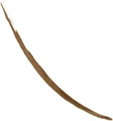 Revlon ColorStay Semi-Permanent Brow Ink Soft Brown 3 Day Wear view 3