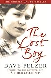 THE LOST BOY: A FOSTER CHILD'S SEARCH FOR THE LOVE OF A FAMILY