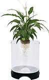 Penn Plax Aquaponic Betta Fish Tank Promotes Healthy Environment for Plants and Fish 1.4 Gallon Capacity - APON2