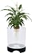 Penn Plax Aquaponic Betta Fish Tank Promotes Healthy Environment for Plants and Fish 1.4 Gallon Capacity - APON2