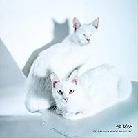 Fus Delei Ablum Cover