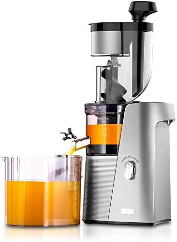 SKG Slow Masticating Juicer Extractor with Wide Chute (Champagne)