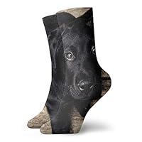 WEEDKEYCAT Black Labrador Puppy Retriever Dogs Adult Short Socks Cotton Fun Socks for Mens Womens Yoga Hiking Cycling Running Soccer Sports