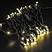 KingDom-LL 50 LED Bulbs Christmas Lights Plug in - AIDDOMM, LED Bulbs String Lights for Outdoor and Indoor, Party, Patio, Warm White, Green Wire, 25 Feet, UL Listed