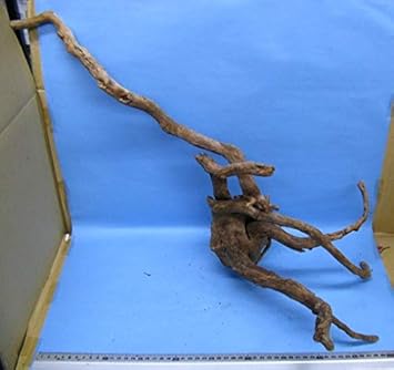 Amazon 天然枝流木 アク抜き処理済 イ06 ノーブランド品 木 通販