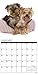 Just Yorkies 2017 Calendar