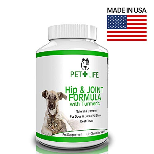 Best Cat Hip & Joint Care Buying Guide GistGear