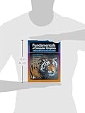 Image de Fundamentals of Computer Graphics, Fourth Edition
