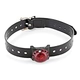 Sport Dog Locator Beacon - Green