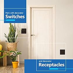 LIDER Matte Finish Decorator Switch