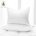 Aloe Vera Hotel Collection Gel Pillow (2 Pack) – Luxury Plush Pillows with All-Natural Pure Aloe Vera Treatment – Eco-Friendly, Hypoallergenic infused with Soothing/Moisturizing Aloe Vera - Queen