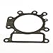 Briggs & Stratton 796584 Briggs and Stratton Cylinder Head Gasket, Grey primary