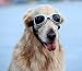 PETLESO Dog Goggles Large Breed, Dog Sunglasses for Medium Large Breed UV Protection Dog Goggles, Square