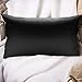 100% Pure Natural Mulberry Silk Pillowcase for Hair and Skin-Hidden Zipper Included-Standard20''x26''Black