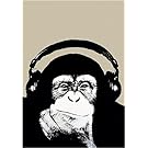 Steez (Headphone Chimp) Art Poster Print - 24x36 Poster Print by Steez , 24x36