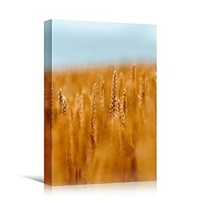 signwin Canvas Wall Art Paddy Field Bohemian Colorful...