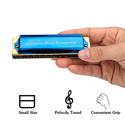 IAMGlobal Harmonica Key of C 10 Hole 20 Tone, Harmonica C Blues with Case, Cleaning Cloth, Phosphor Bronze Reeds Titanium Alloy Plated, Musical Instrument (Blue) - Thumbnail 5