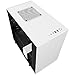 NZXT H200i - Mini-ITX PC Gaming Case - RGB Lighting and Fan Control - CAM-Powered Smart Device - Enhanced Cable Management System – Water-Cooling Ready - White/Black - 2018 Model