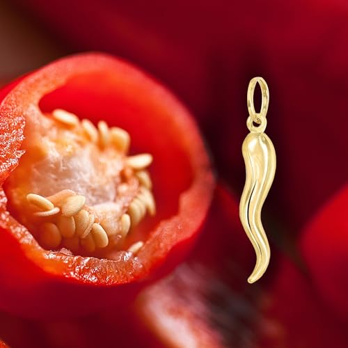 forme di Lucchetta Lucchetta 14K Italian Gold Horn Pendant Hollow for Him and Her, Suitable for Gifting Handmade in Italy, Hypoallergenic Made to Last - Fits Perfectly up to 4mm Necklace