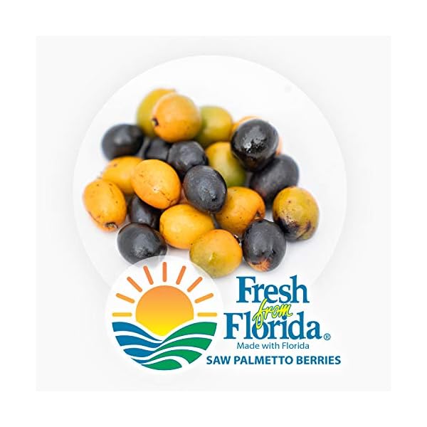 Flomentum® Saw Palmetto Oil Extract 320 mg The Only USP Verified