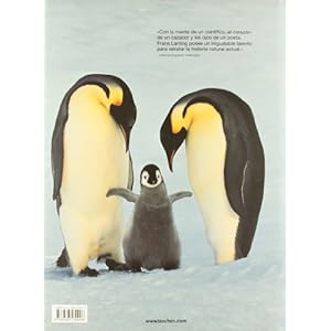 PINGÜINO