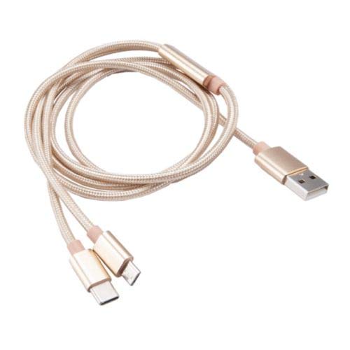 Akasa 2 in 1 USB 2.0 Kabel Typ A zu Micro-B und Typ C - 1m, gold