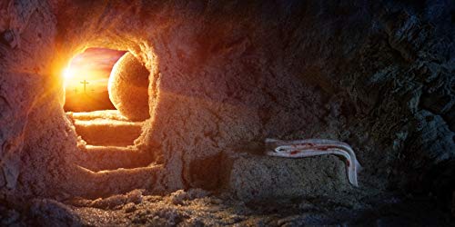 AOFOTO 12x6ft Empty Tomb Hole Cross Cave Photography Background Sunrise Crucifixion Resurrection of Jesus Christ Burial Grave Shroud Easter Stone Holy Christian Backdrop Photo Studio Props Banner