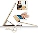 Dyasge iPad Air 2 Case Cover, Smart Case Cover with Magnetic Auto Wake & Sleep Feature and Tri-fold Stand for iPad Air 2 (iPad 6) Tablet,Champagne Gold