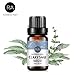 Clary Sage Essential Oil 10ml (0.33oz) - 100% Pure Premium Grade for Aroma Diffuser, Massage