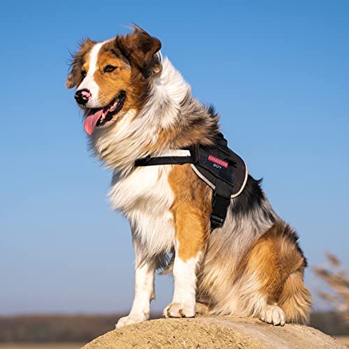 GYGYL 2Pcs Handsome Boy Patch, Dog Vest Patch, Embroidered Fastener Hook and Loop Patch for Dog Vest Harnesses Collars