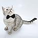 Shappy 3 Pieces Dog Cat Bow Tie Pet Costume Cat Wedding Bowtie Formal Dog Collar Adjustable Necktie Collar for Cat Small Puppy Grooming Accessories