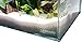 Lifegard Aquatics Crystal Ultra Clear Aquarium, Smallthumb 1