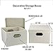 Household Essentials Fabric Storage Boxes with Lids and Handles, Natural