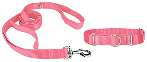 Country Brook Design Martingale Nylon Dog Collar & Double Handle Leash-Pink-M