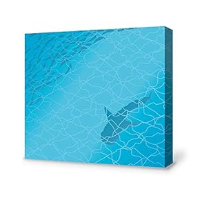 Canvas Wall Art A School of Fish Pictures Home Wall Decorations for Bedroom Living Room Paintings Canvas Prints Framed - 12x12 inches