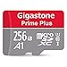 [5-Yrs Free Data Recovery] GIGASTONE 256GB Micro SD Card, 4K Game Turbo, MicroSDXC Memory Card for Nintendo-Switch 1, GoPro, Action Camera, DJI, UHD Video, R/W up to 100/60MB/s, UHS-I U3 A2 V30 C10