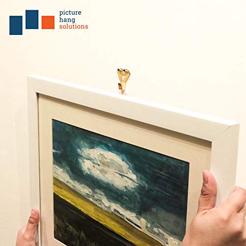 Heavy Picture Hangers 50 lbs 20 Pack Picture Hangers for Plaster