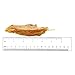 Pet Cuisine Dog Treats Puppy Chews Training Snacks,Chewy Chicken & Pigskin Treats,10 oz