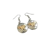 Wonder Woman Circle Logo Dangle Earrings in Gift Box by Superheroes