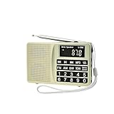 LCJ Portable FM AM SW Multiband Digital Mini Radio and Pocket USB Mp3 Music Stereo Player Speaker with Rechargeable Battery