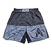 Anthem Athletics 50/50 MMA Fight Shorts - BJJ, Muay Thai, WOD, Cross-Training, OCR - Grey & Black - Medium