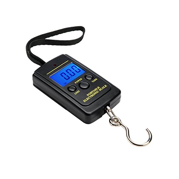 Fish-Scale-AdiyZ-Portable-Electronic-Scale