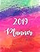 2019 Planner: Monthly Schedule Organizer - Agenda Planner 2019, 12 Months Calendar, Appointment Note by Zindy Canna