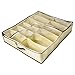 Loveje 12 Grid Shoes Storage Organizer Non-Woven Fabric Shoebox Folding (Type1 12 Grid)