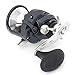 Shimano Torium 14 HGA Saltwater Star Drag Fishing Reel