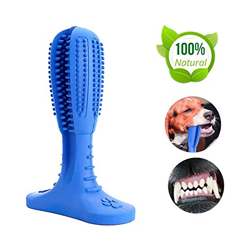 Top 10 Best Dog Chew Toothbrush with Toothpaste of 2019 Review Best
