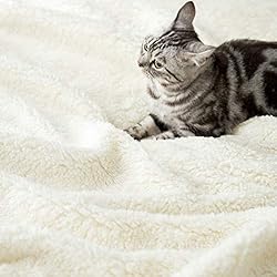 LBRO2M Sherpa Fleece Bed Blanket Queen Size Super