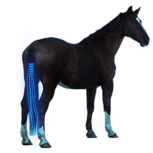 100cm Horse Tail Light USB Chargeable LED Camping Lamp Sports Horse Harness Equestrian Lantern - Blue